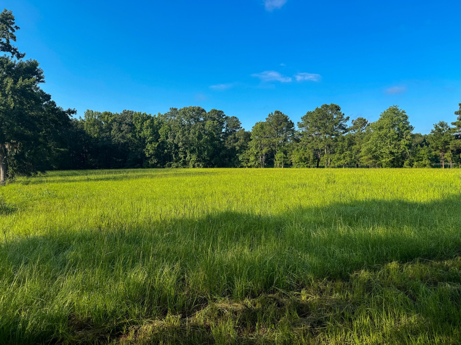 0 Hope Plantation Lane Photo 13