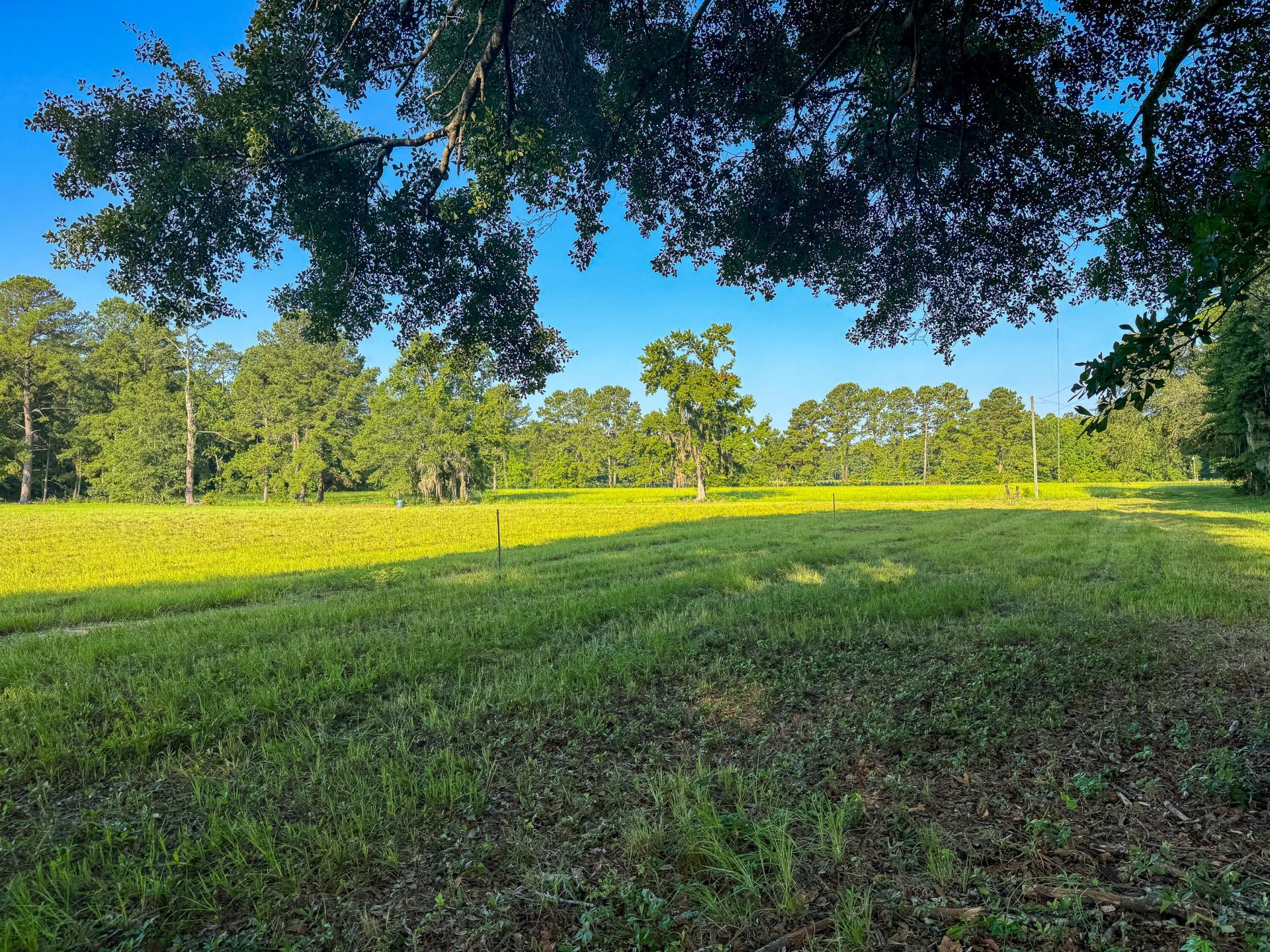 0 Hope Plantation Lane Photo 14