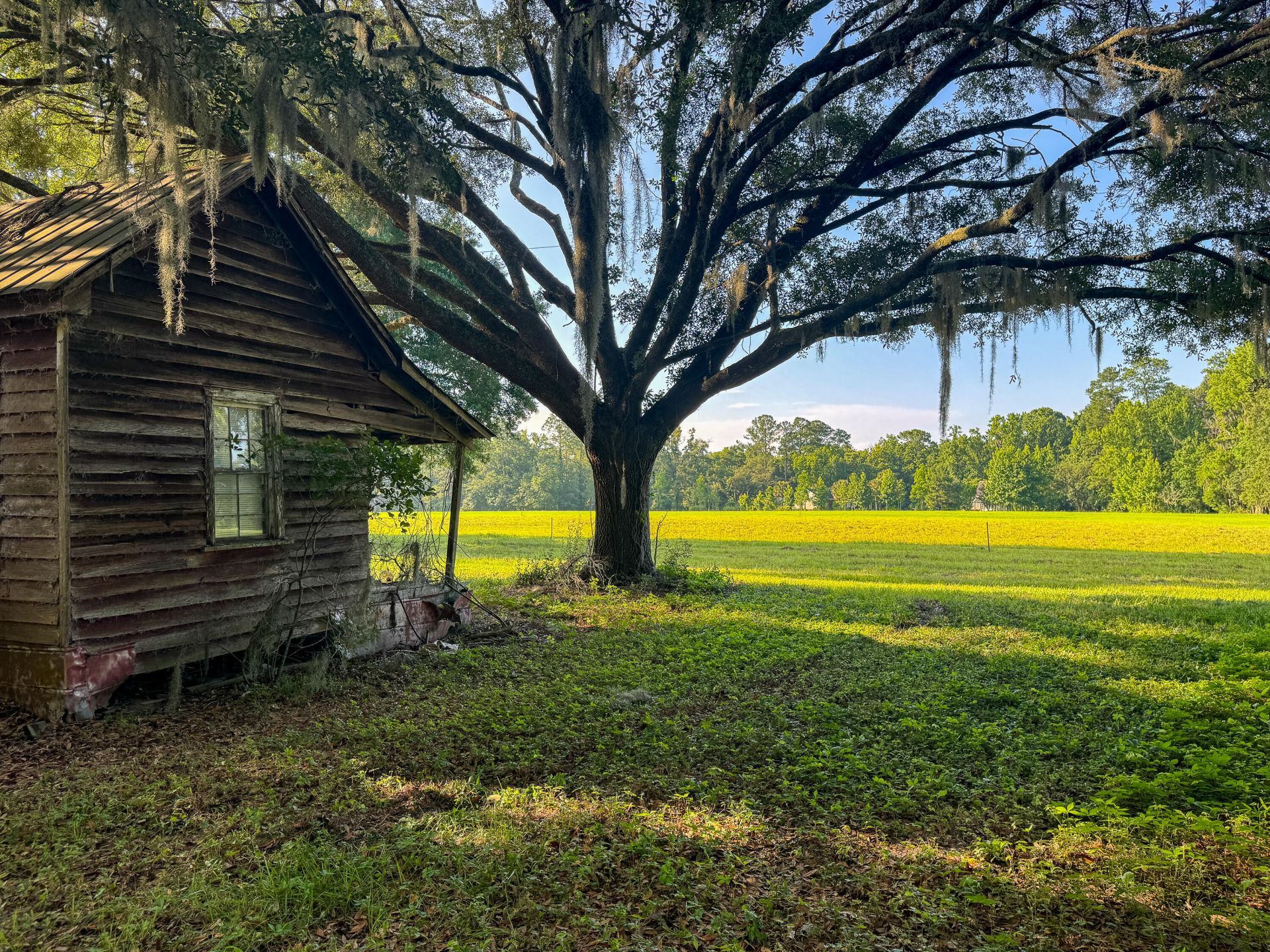 0 Hope Plantation Lane Photo 16