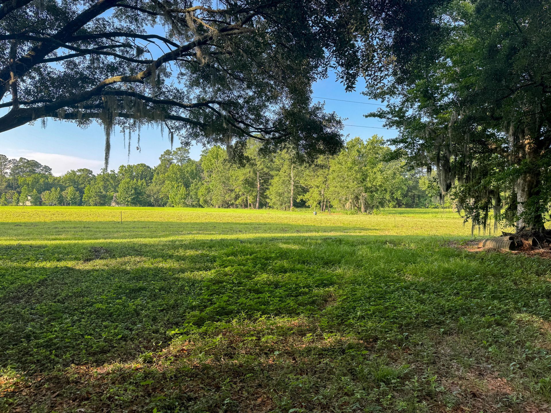 0 Hope Plantation Lane Photo 17