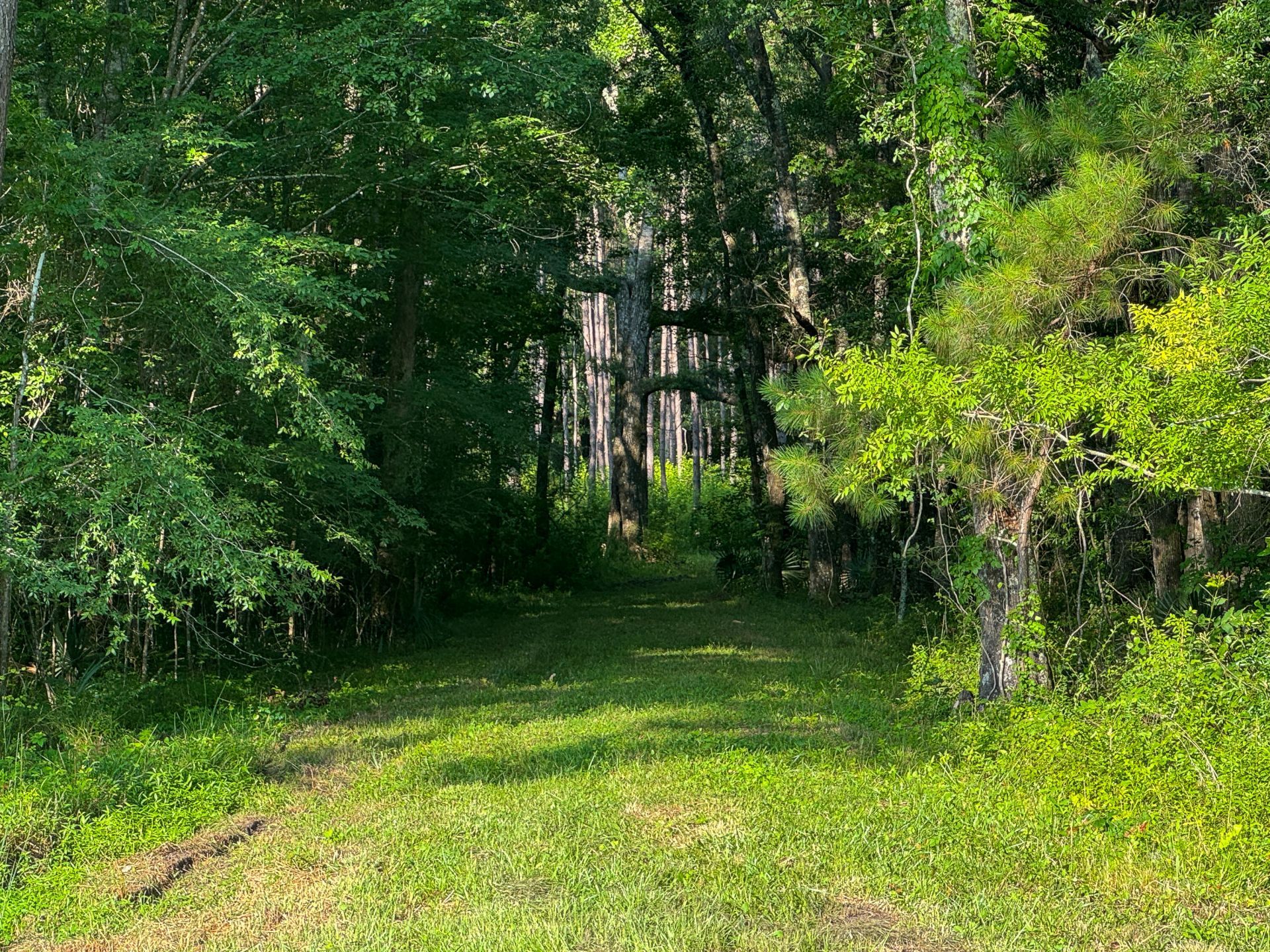 0 Hope Plantation Lane Photo 25