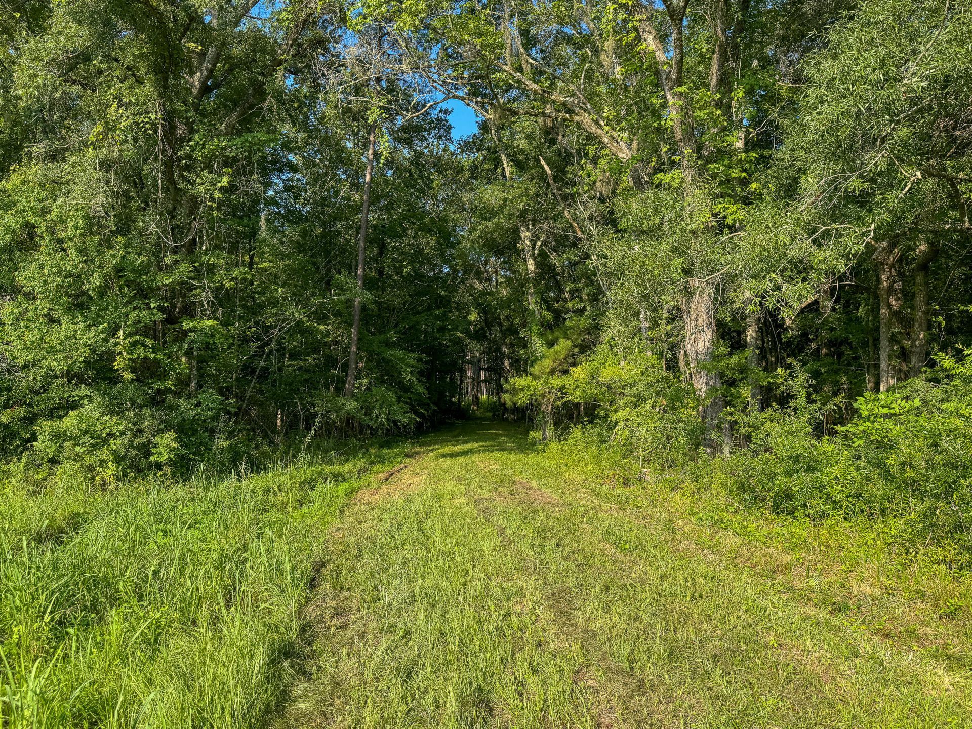 0 Hope Plantation Lane Photo 27