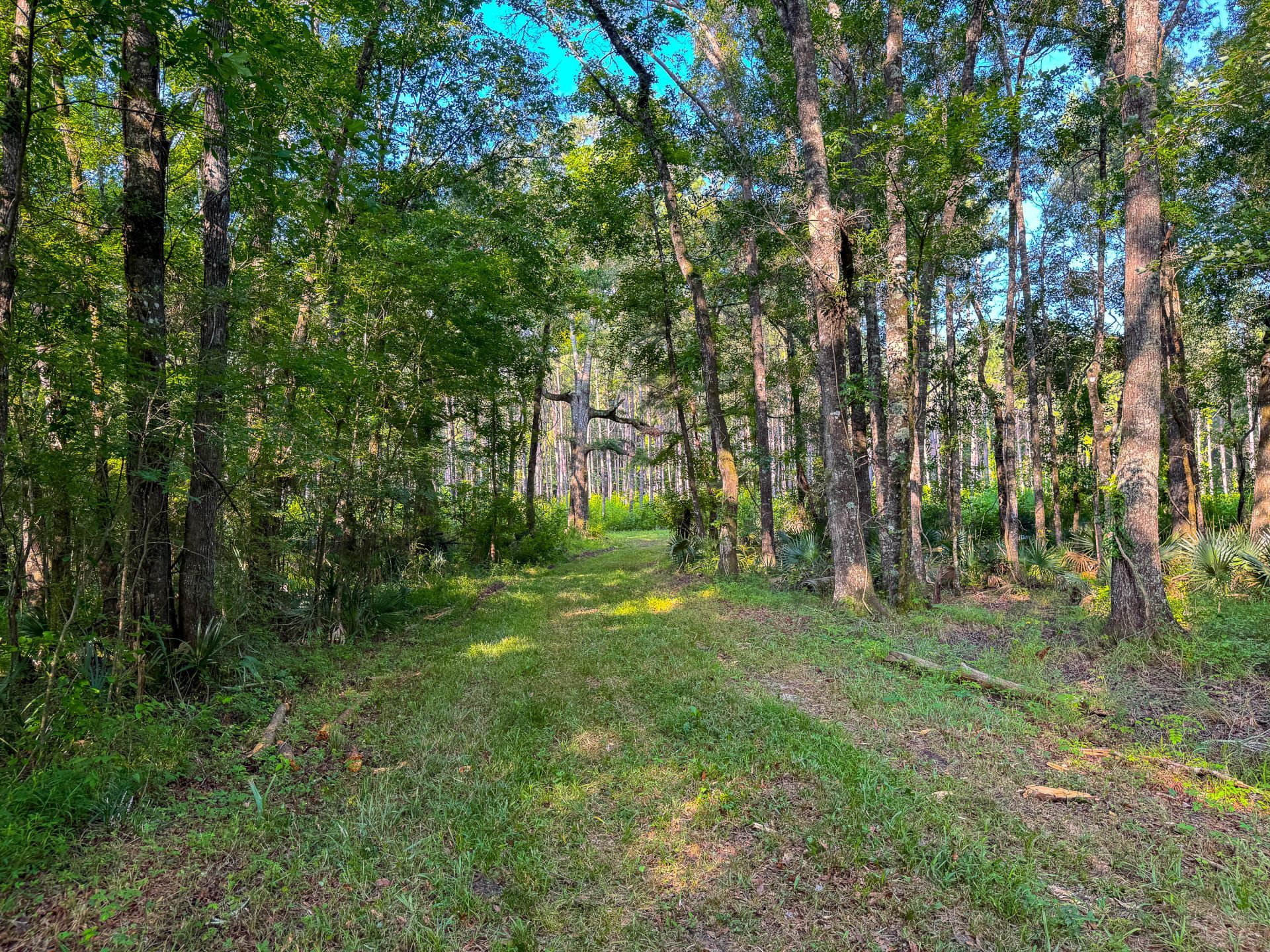 0 Hope Plantation Lane Photo 28