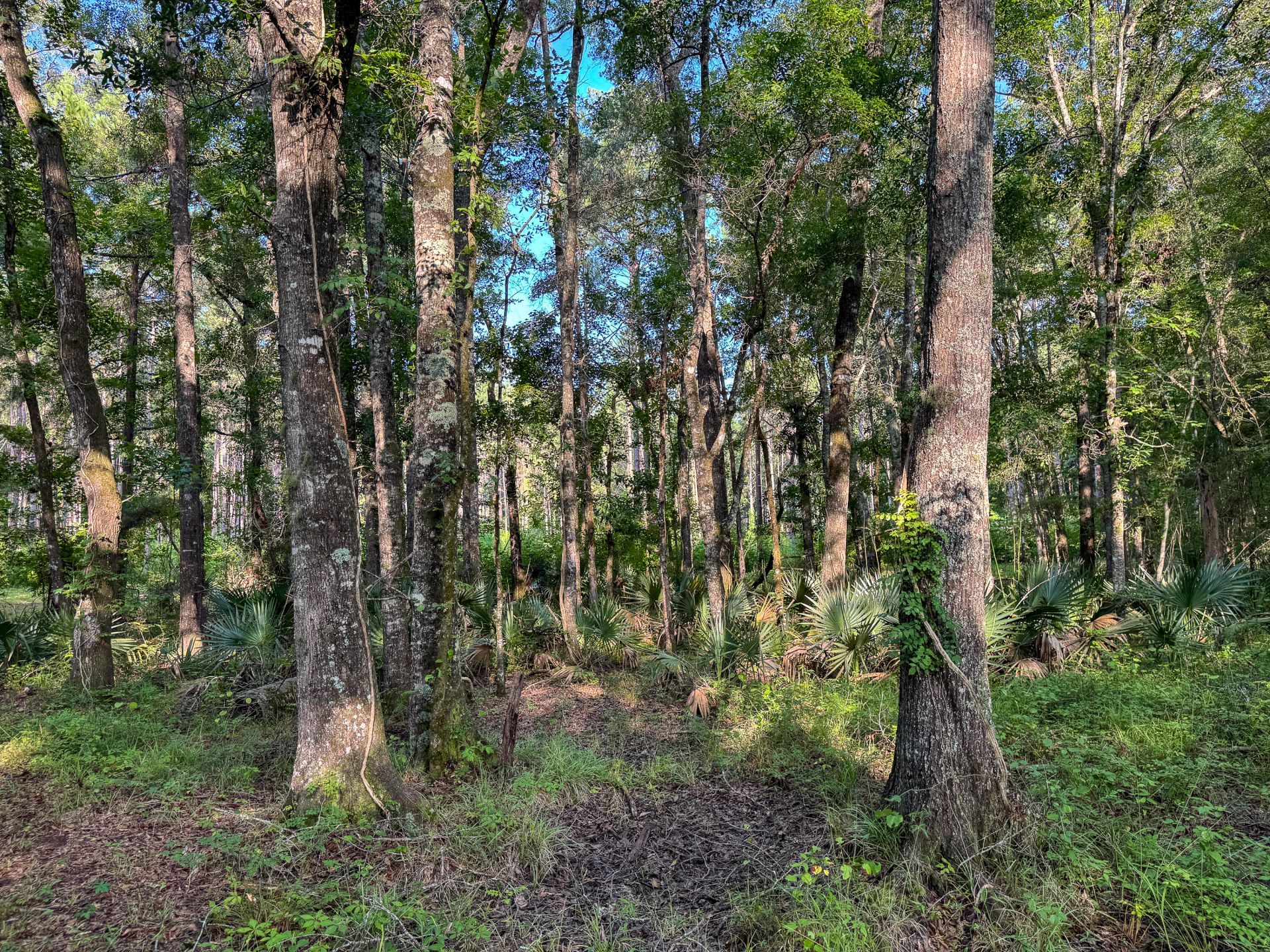 0 Hope Plantation Lane Photo 29