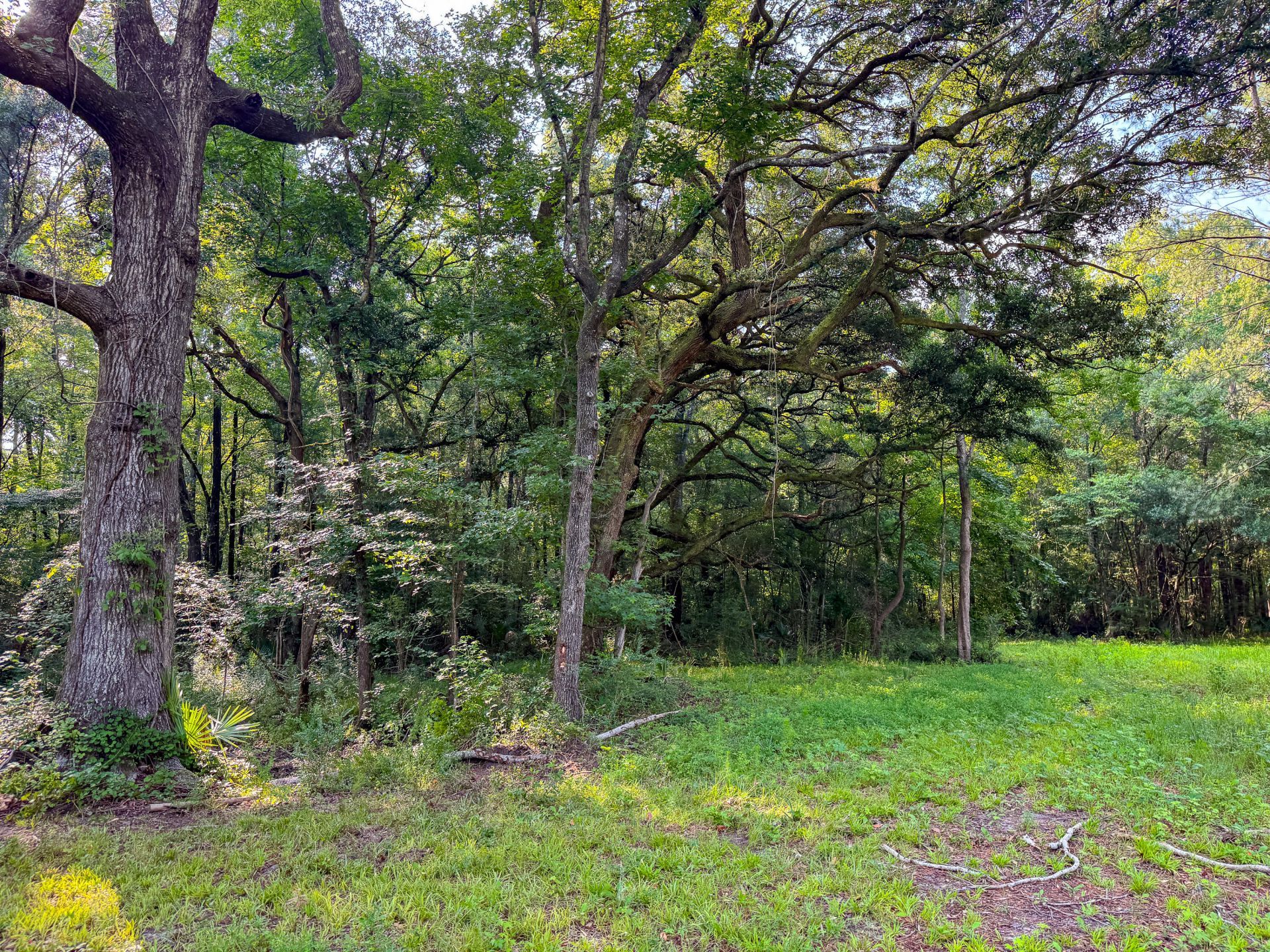 0 Hope Plantation Lane Photo 32