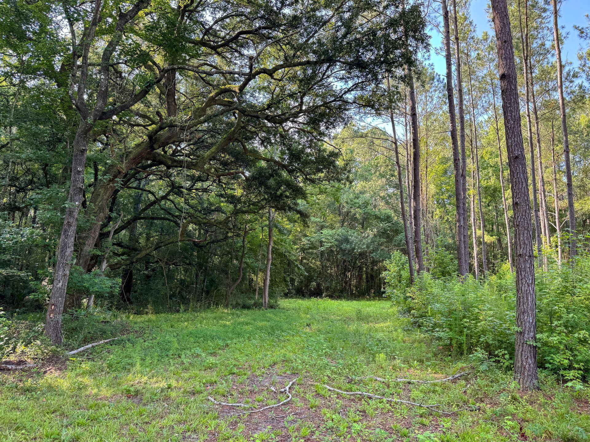 0 Hope Plantation Lane Photo 33
