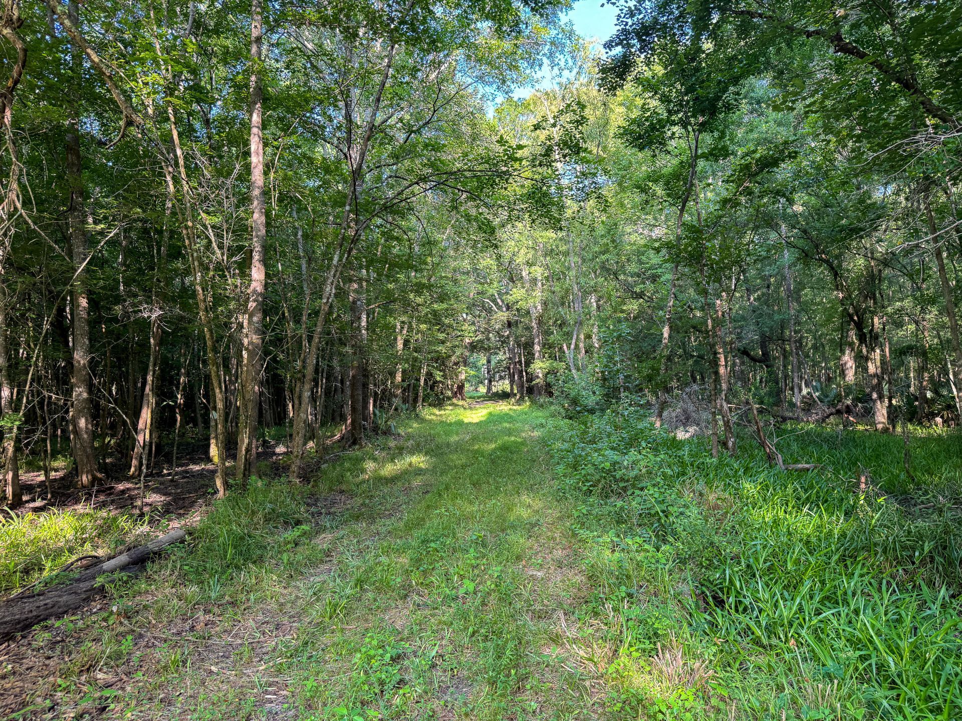 0 Hope Plantation Lane Photo 42