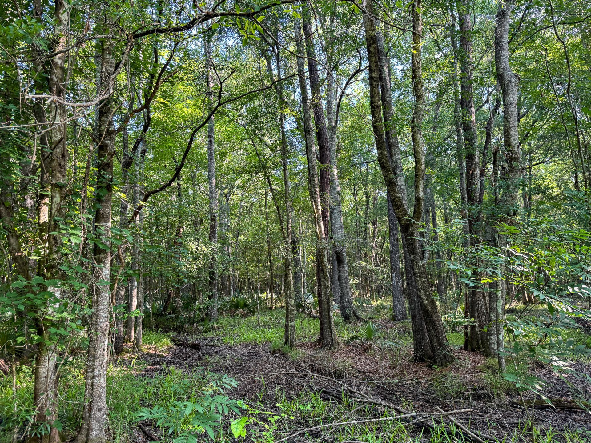0 Hope Plantation Lane Photo 44