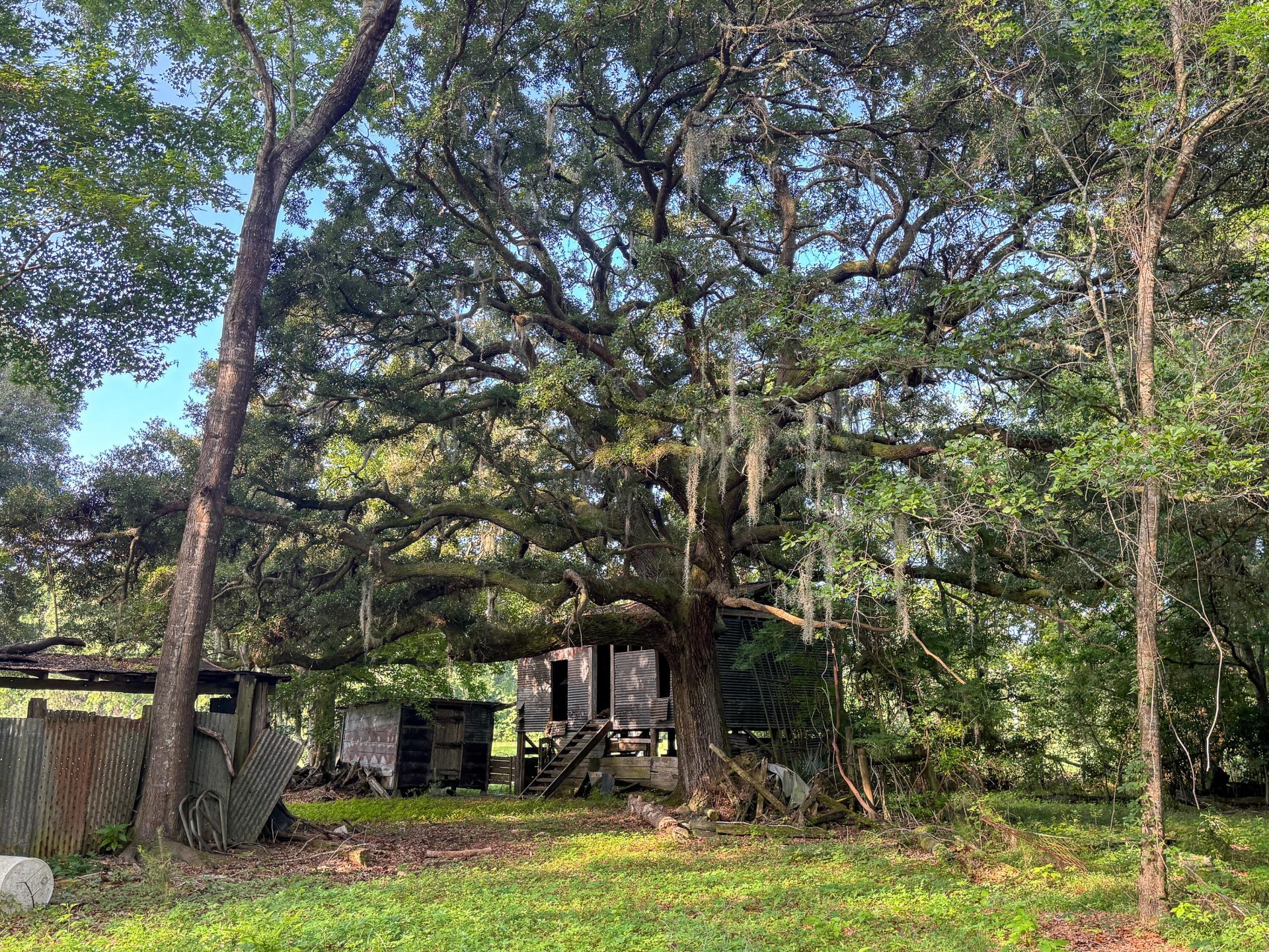 0 Hope Plantation Lane Photo 51