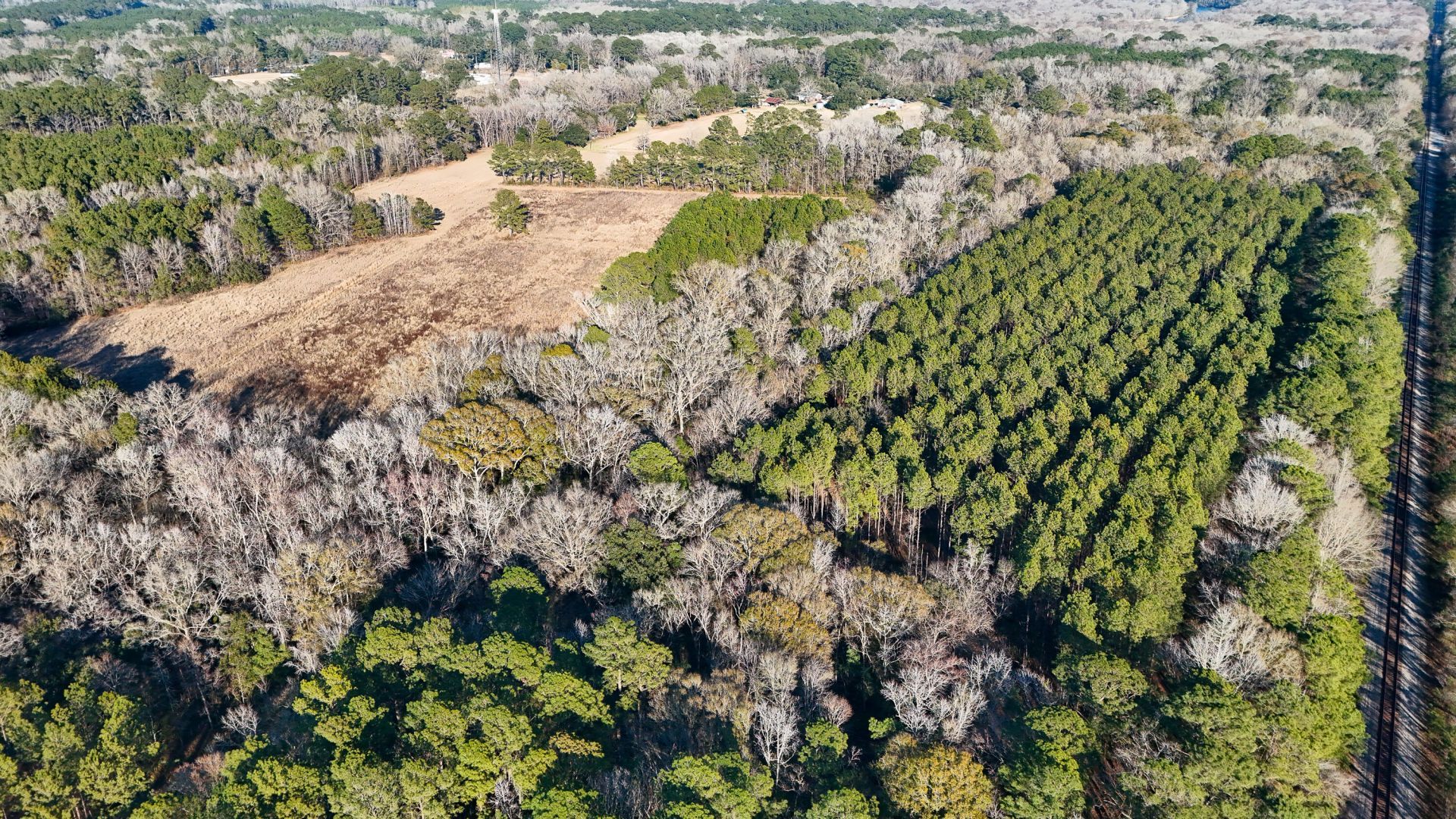 0 Hope Plantation Lane Photo 60