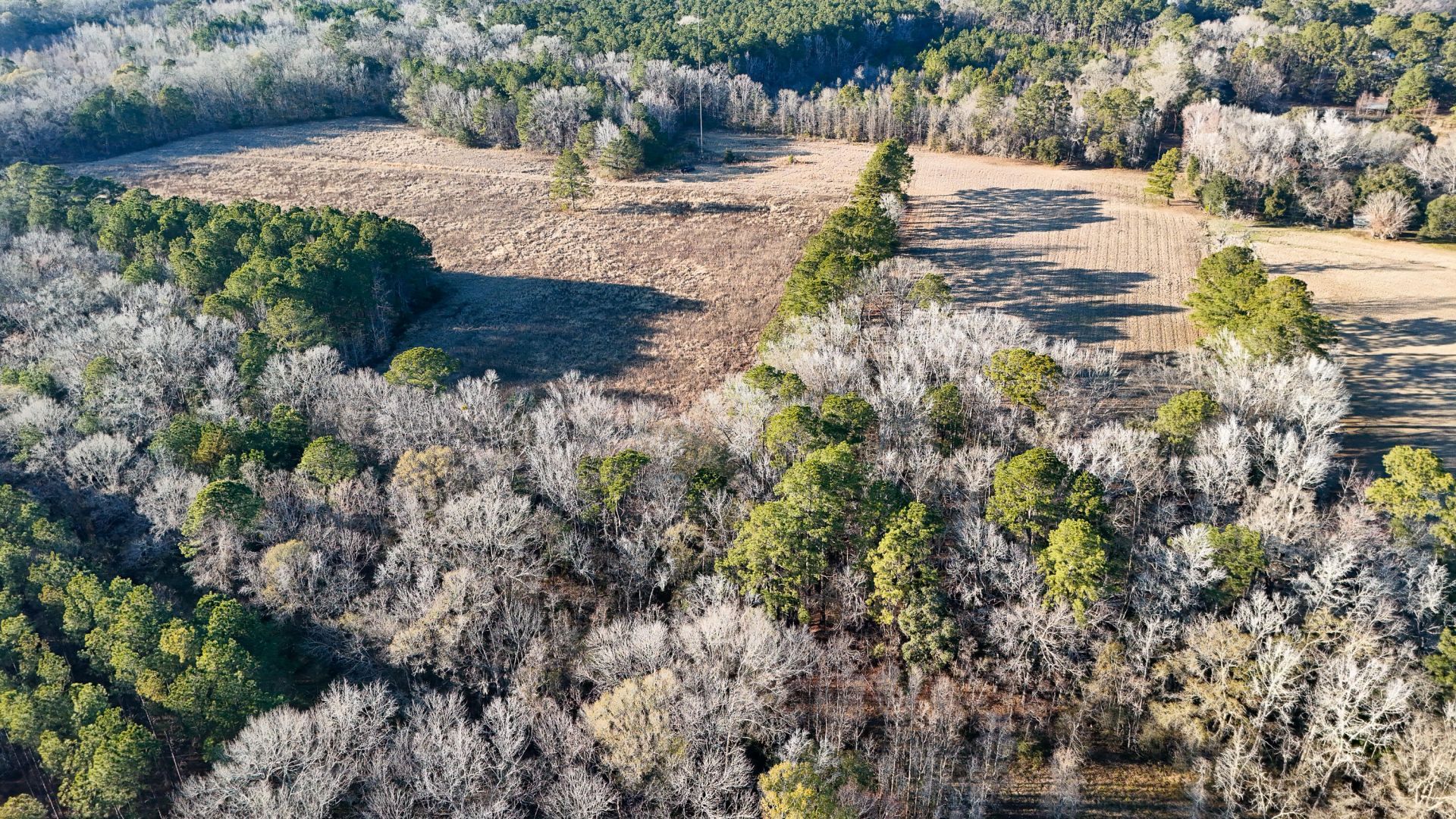 0 Hope Plantation Lane Photo 63