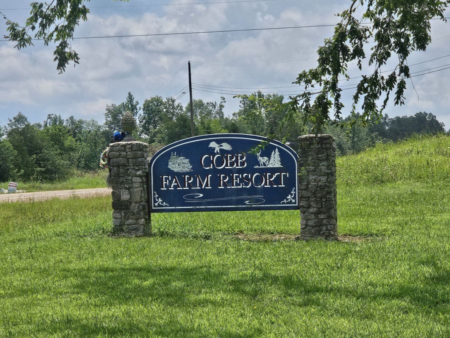 Property Image 19