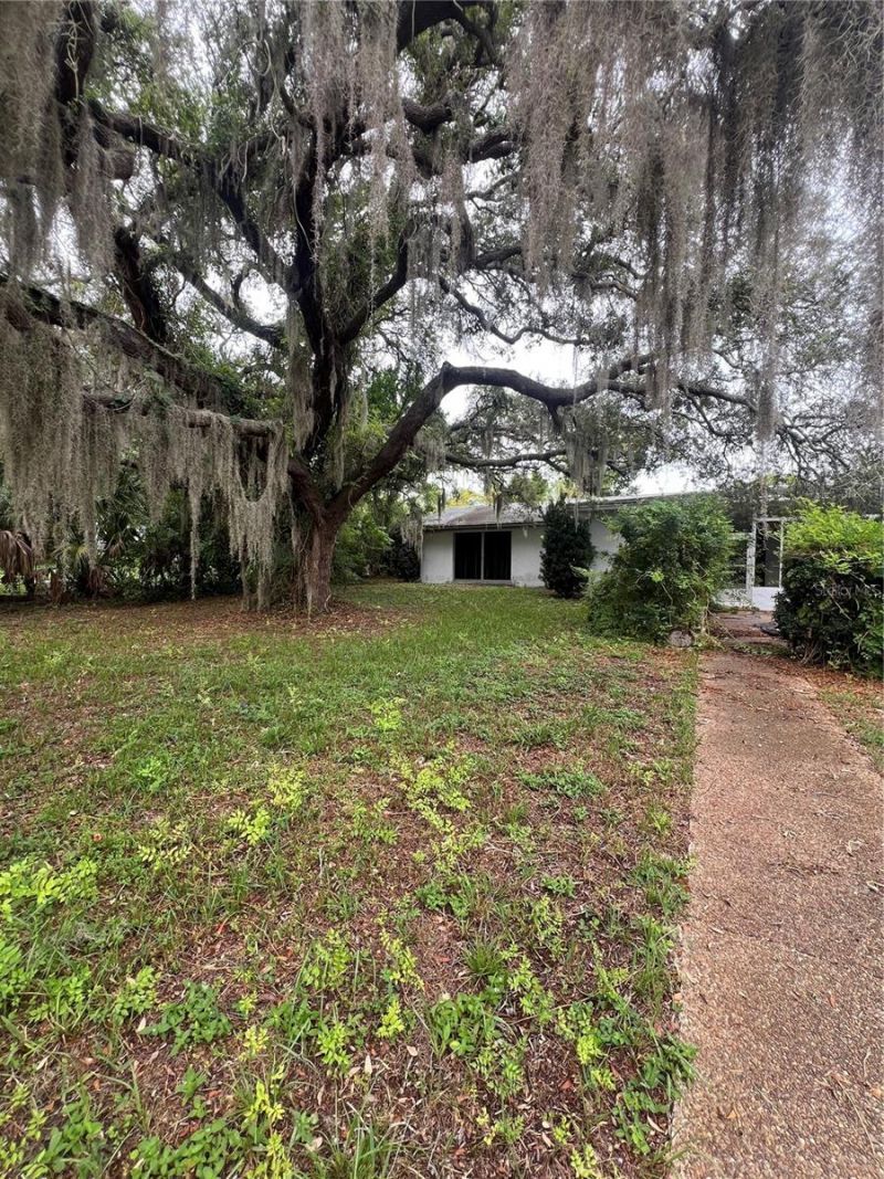 425 Craig Drive, Tarpon Springs, FL 34689 Photo
