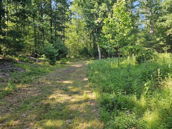 0 Hearts Content Road, Round Top, NY 12473