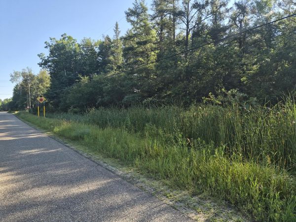 V/L Eagle Point Road, Grayling, MI 49738