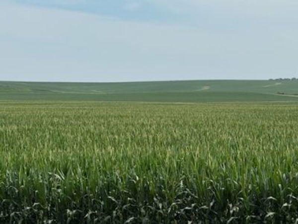E 152nd Street S, Lynnville, IA 50153