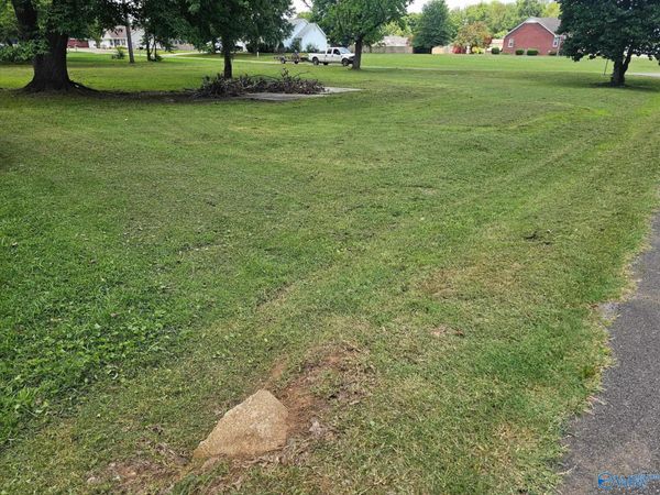 110 Park Street, Rogersville, AL 35652