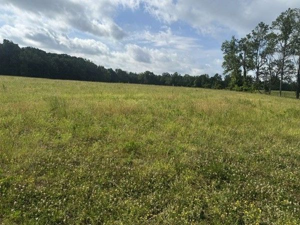0 Cal Durham Road , Unit 10, Bethpage, TN 37022