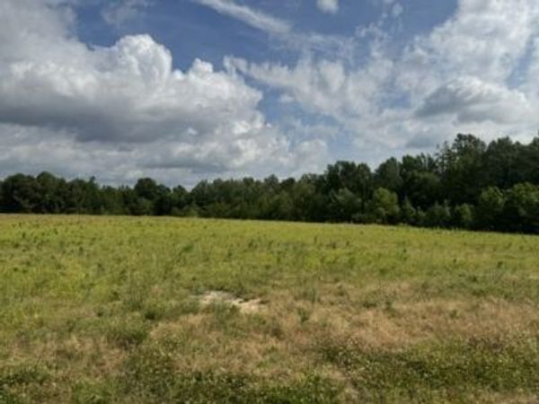 0 Bob Perry Road , Unit 9, Bethpage, TN 37022