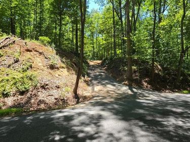 0 THOROUGHFARE RD, Unit LOT 1, CULPEPER, VA 22701