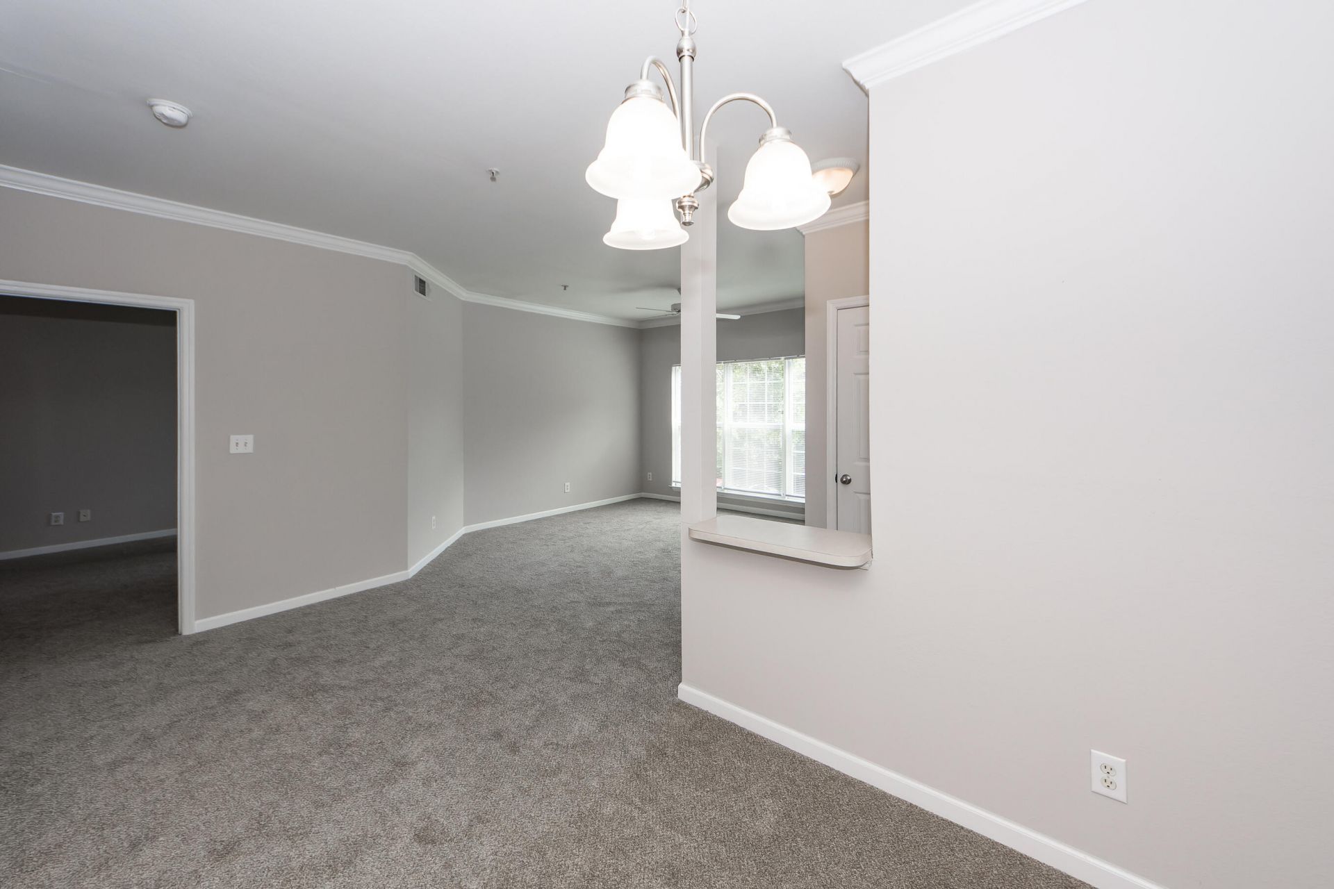 700 Daniel Ellis Drive Photo 11