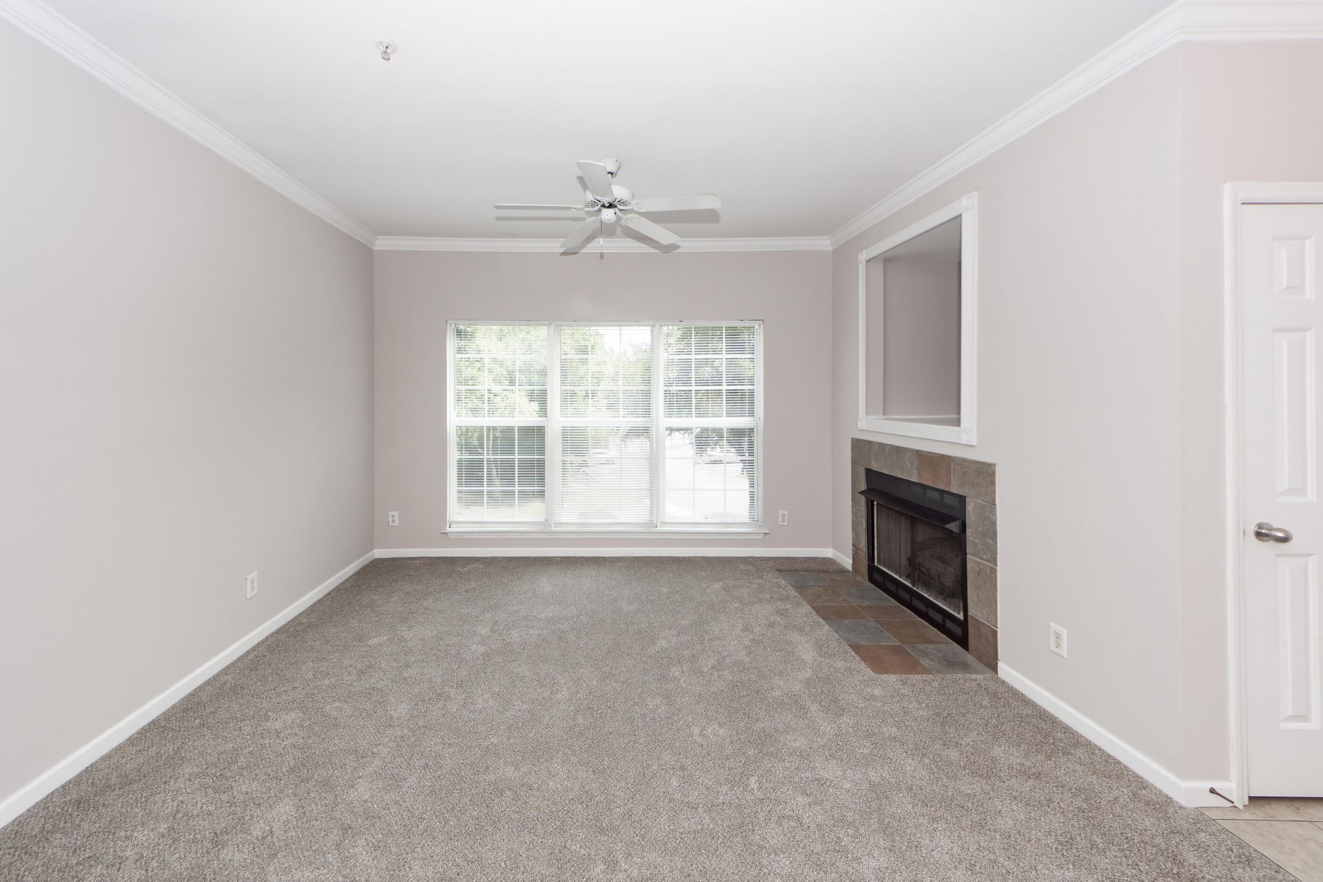 700 Daniel Ellis Drive Photo 12