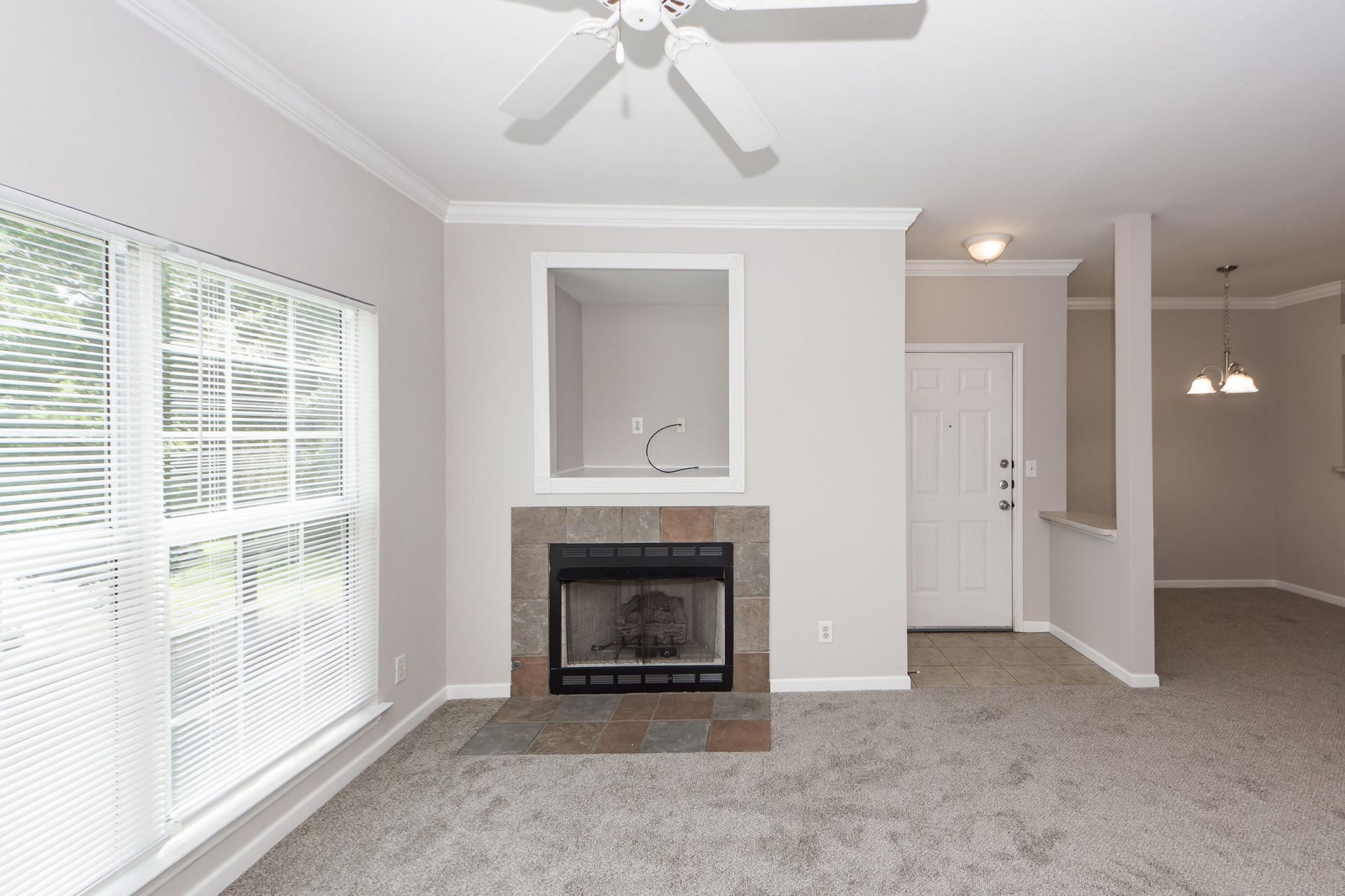 700 Daniel Ellis Drive Photo 13