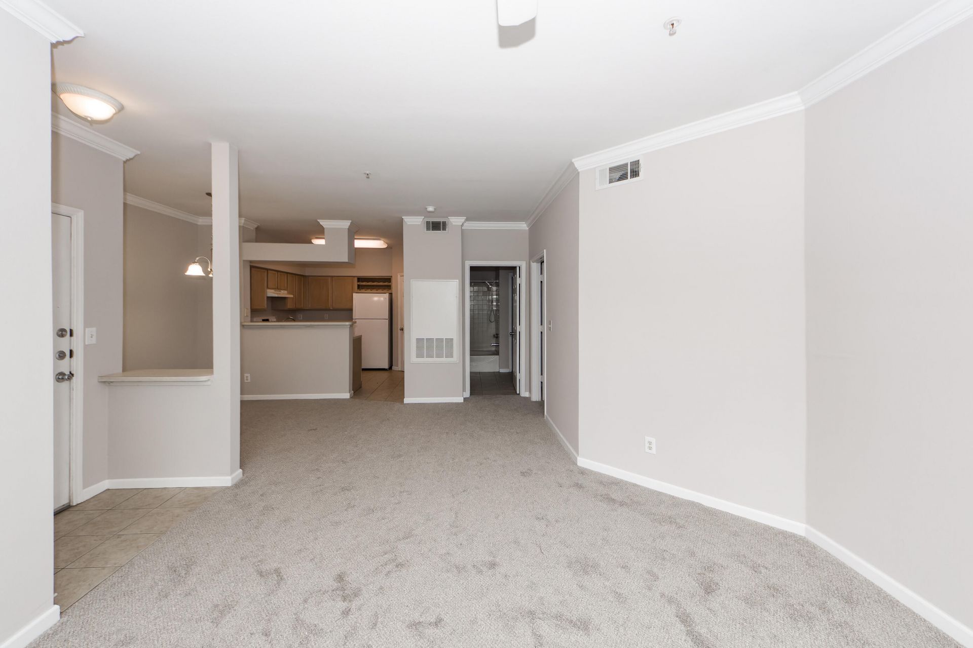 700 Daniel Ellis Drive Photo 15