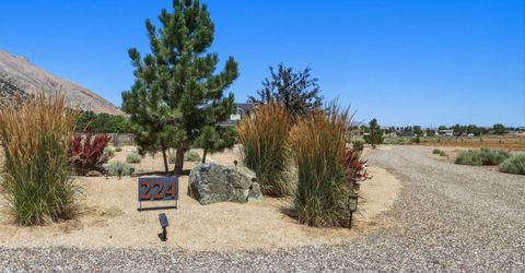 224 Angie Court, Wellington, NV 89444 Photo