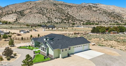 224 Angie Court, Wellington, NV 89444 Photo
