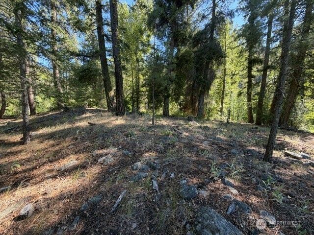 0 E Buttermilk Creek Road , Twisp, WA 98856