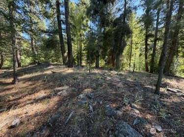 0 E Buttermilk Creek Road , Twisp, WA 98856