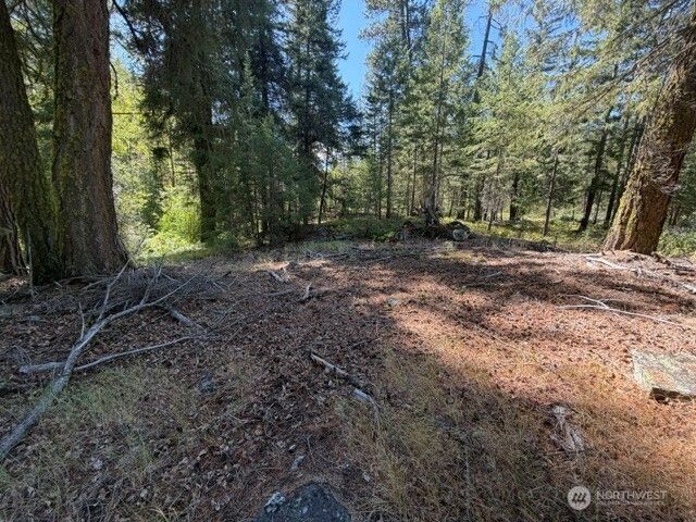 0 E Buttermilk Creek Road , Twisp, WA 98856