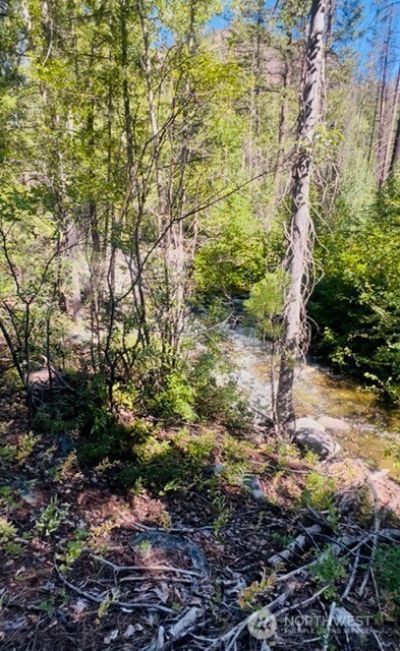 0 E Buttermilk Creek Road , Twisp, WA 98856
