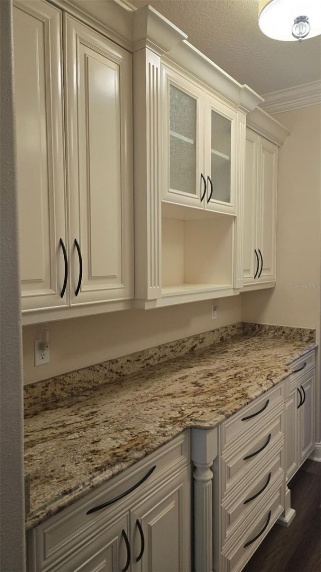 1630 Tawnyberry Court, Trinity, FL 34655 Photo