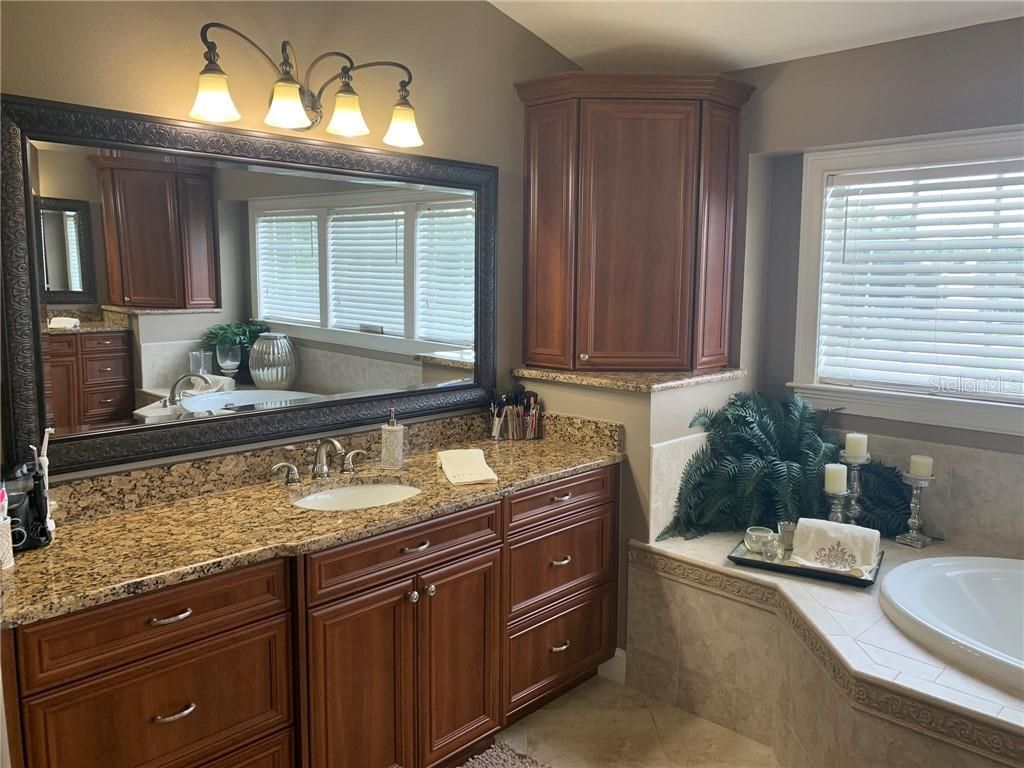 1630 Tawnyberry Court, Trinity, FL 34655 Photo