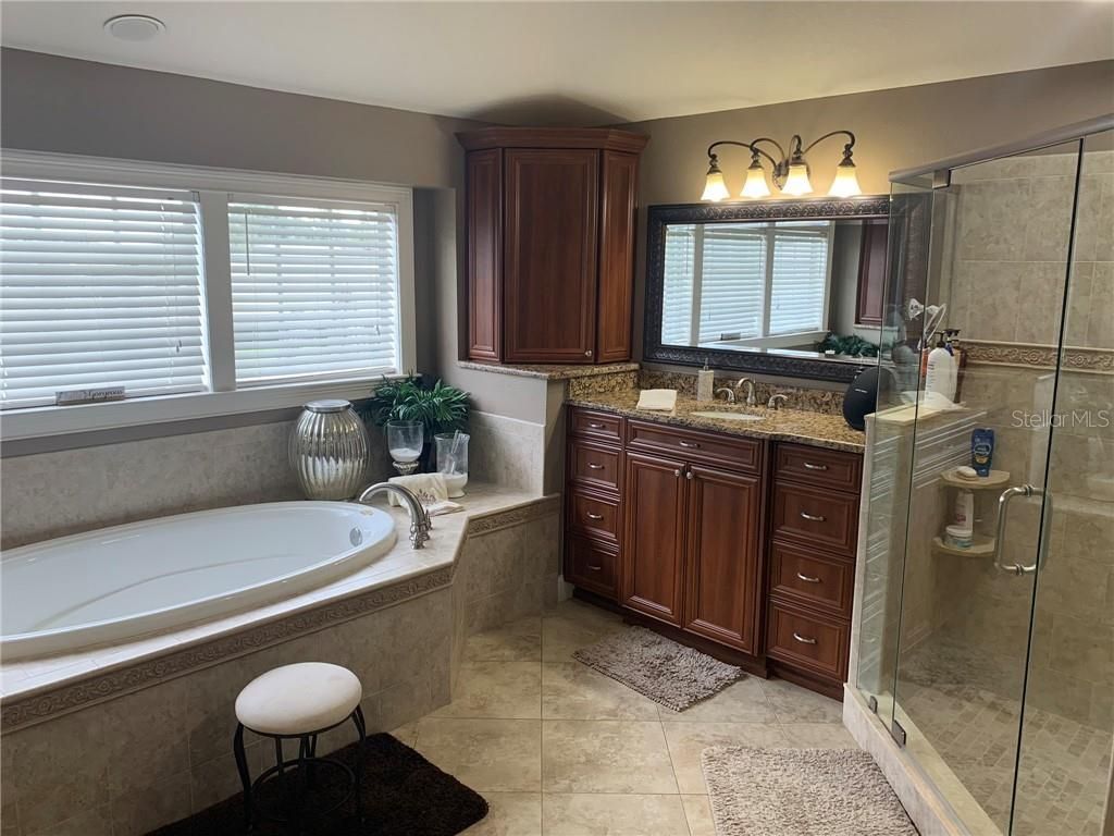 1630 Tawnyberry Court, Trinity, FL 34655 Photo