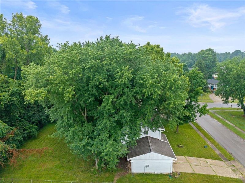 3878 Witham Woods Drive, Union Twp, OH 45245 Photo 40