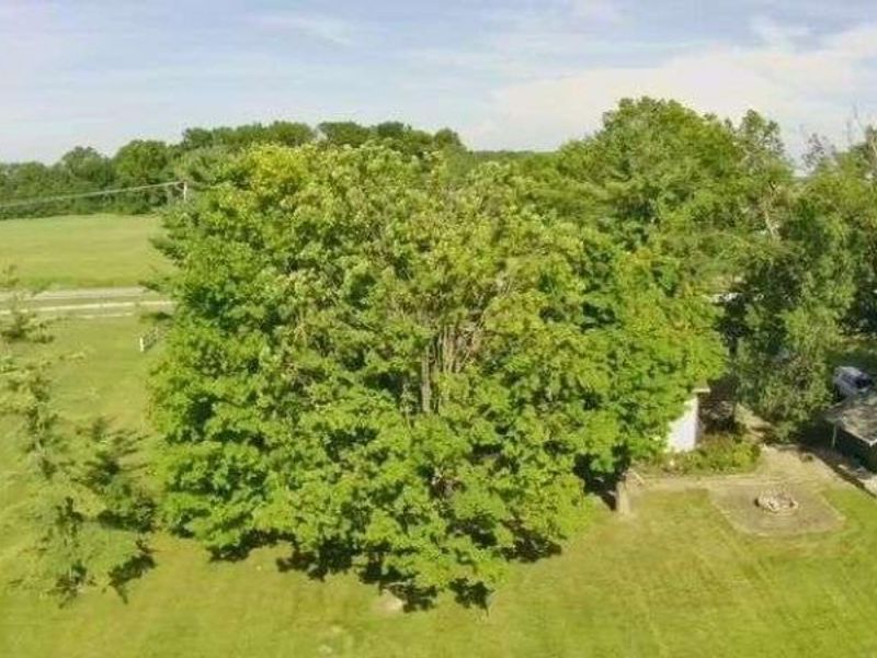 7373 Harlem Road, Westerville, OH 43081 Photo 21