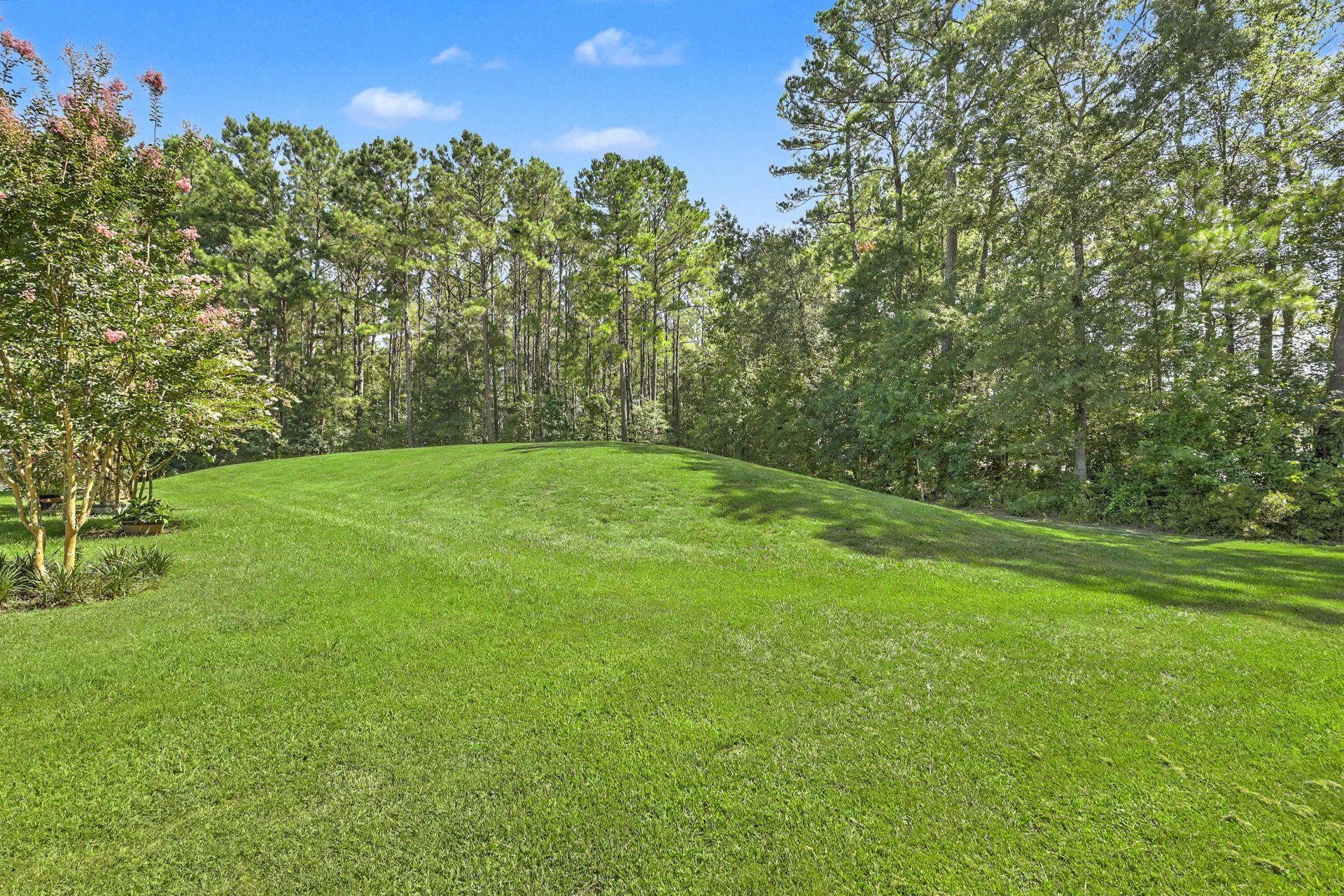 1519 Migration Point Photo 50
