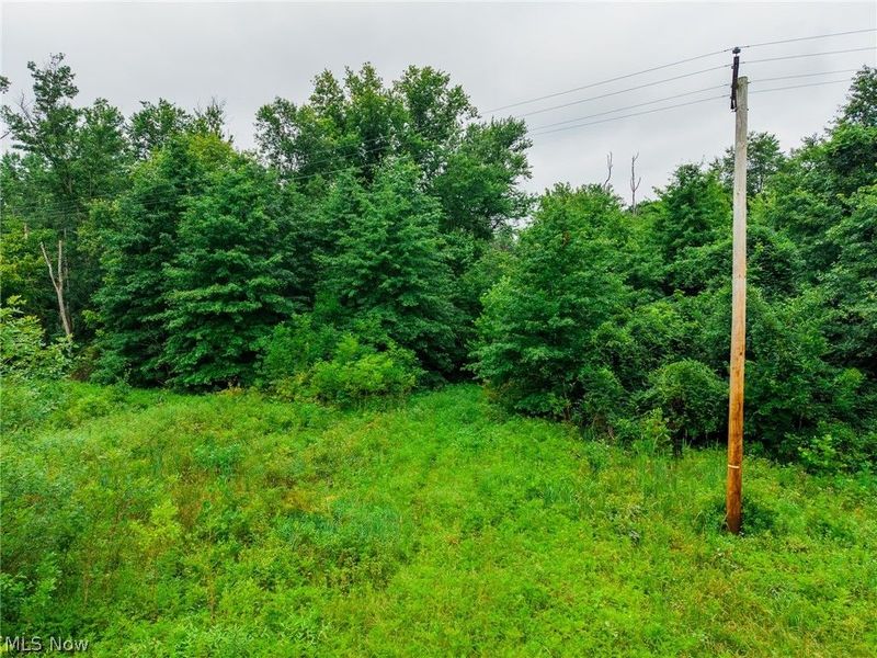 Byesville Road, Cambridge, OH 43725 Photo 10