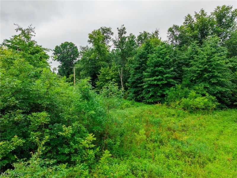Byesville Road, Cambridge, OH 43725 Photo 11