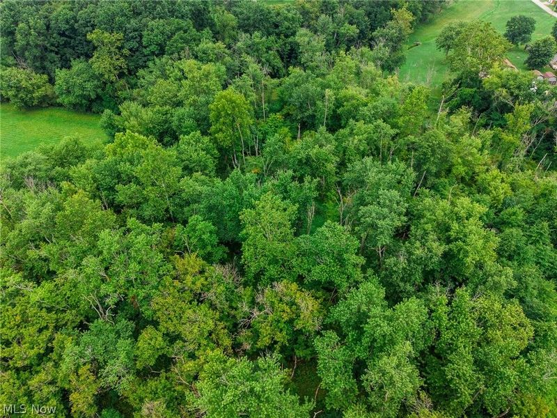 Byesville Road, Cambridge, OH 43725 Photo 19