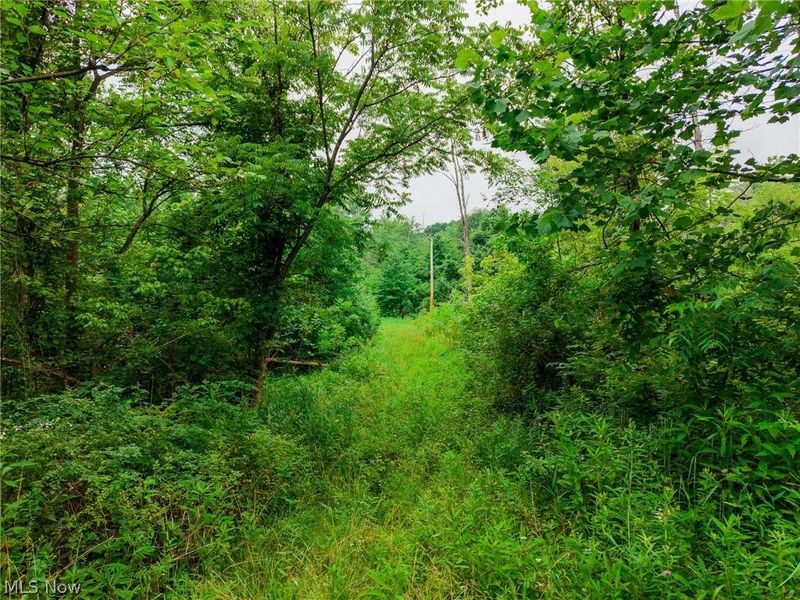 Byesville Road, Cambridge, OH 43725 Photo 25