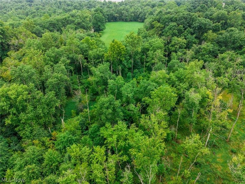 Byesville Road, Cambridge, OH 43725 Photo 31