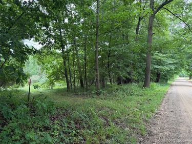 Stanton Lake Rd, Arcadia Twp, MI 48412