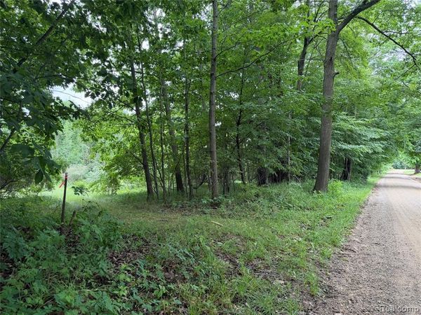 Stanton Lake Rd, Arcadia Twp, MI 48412