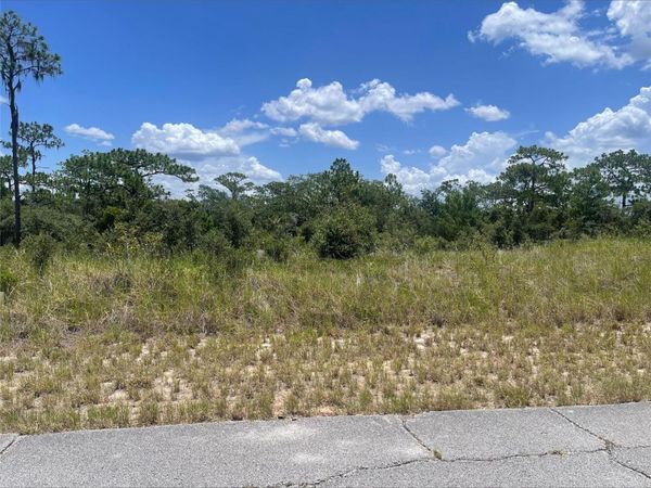 1340 HOMOSASSA COURT , KISSIMMEE, FL 34759