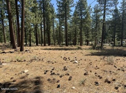 230 Redding Way, Lot #240, Carson City, NV 89705 Photo