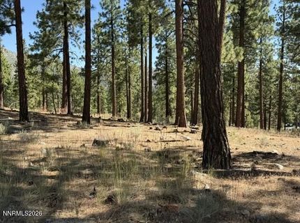 230 Redding Way, Lot #240, Carson City, NV 89705 Photo